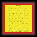 Wasif Shajid 02 * 22.03.2008 * 416 x 674 * (29KB)